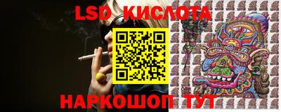 СК Краснодар