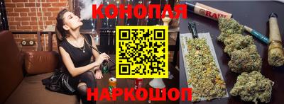 СК Краснодар