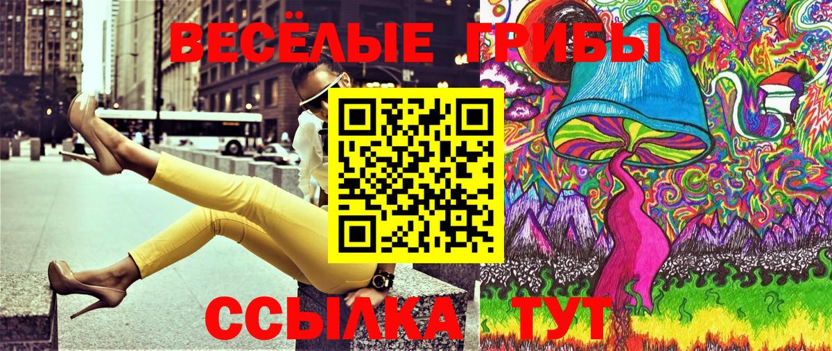 Калач-на-Дону  Галлюциногенные грибы Psilocybine cubensis  Вход с VPN 